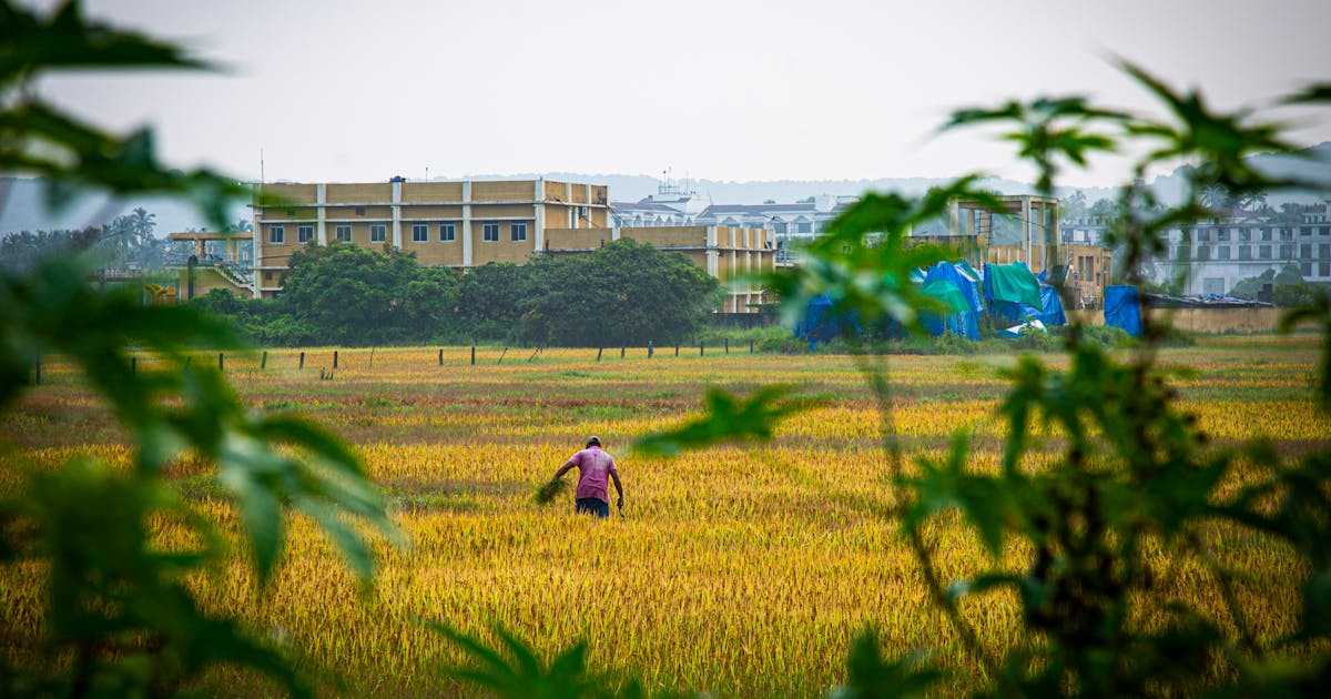 The Hidden Dangers of Cheap Google Review Services (And How to Avoid Them) - Reputation Management guide